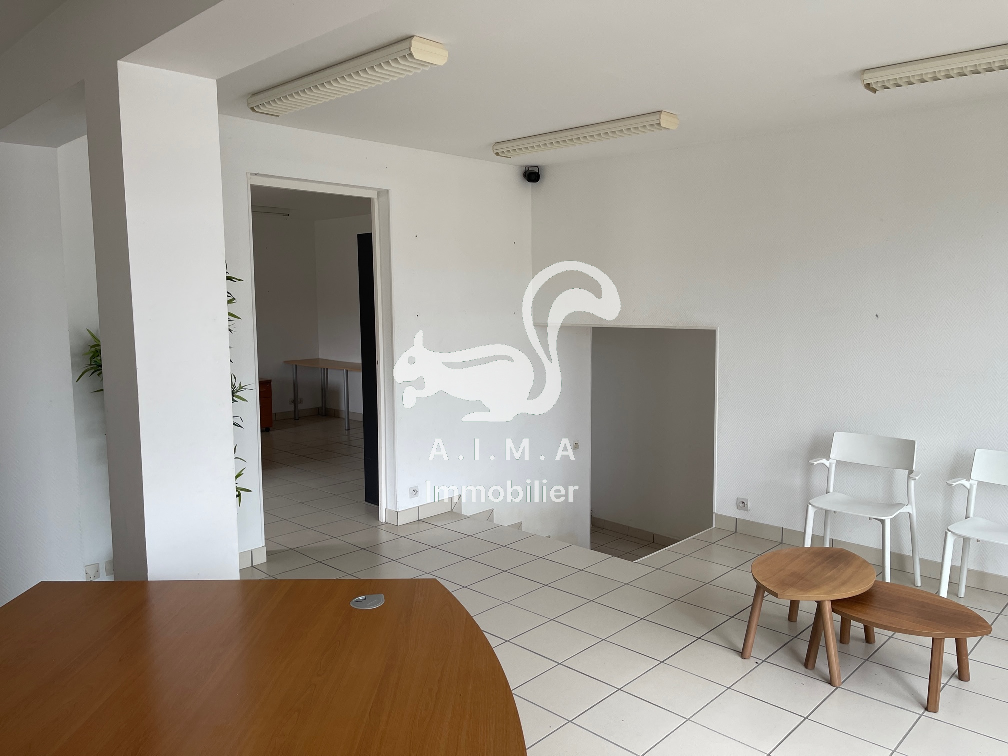 Zyke Biganos 33380 | Zyke Fenouillet – EVUEL