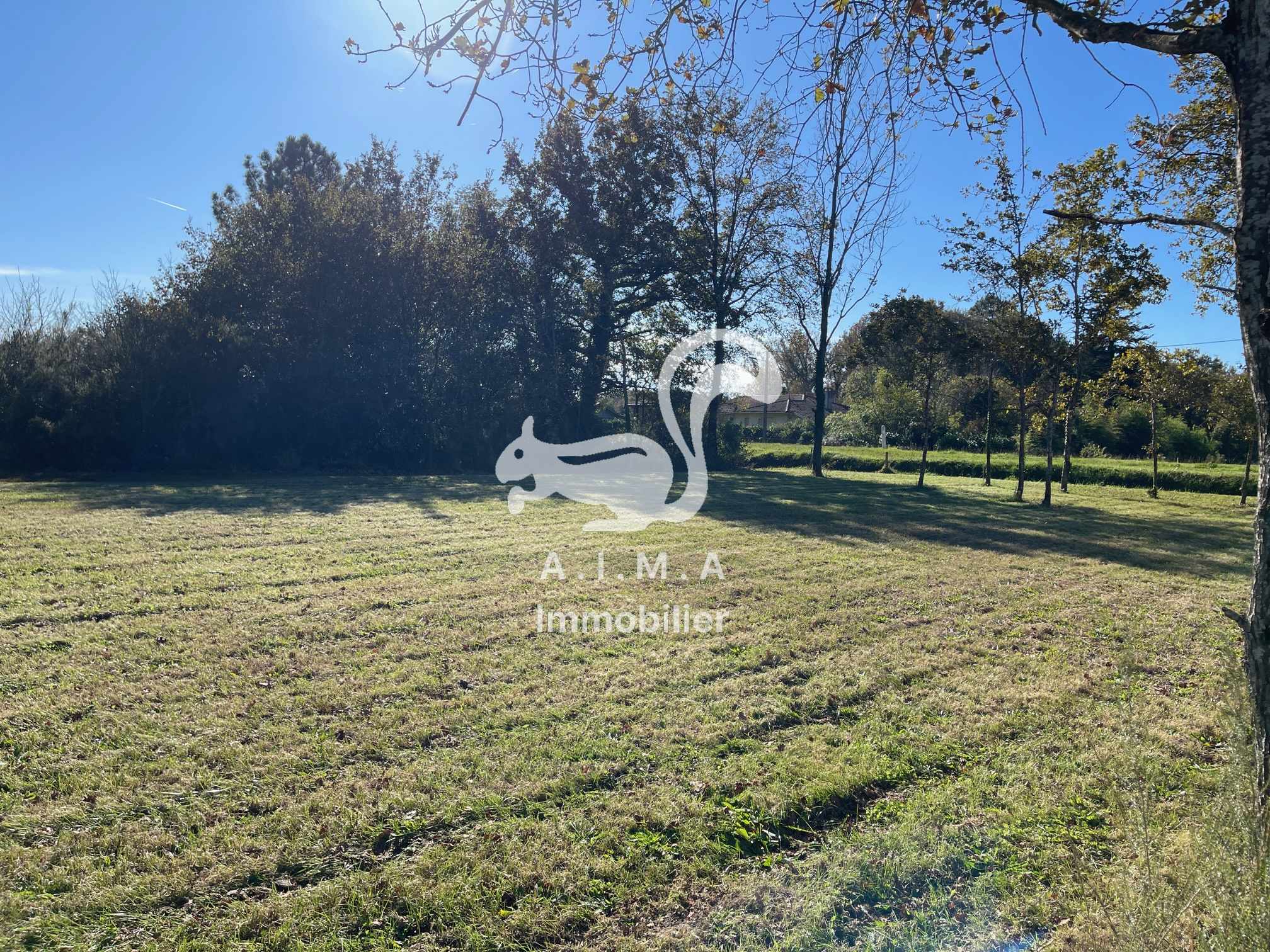 Terrain - Mios