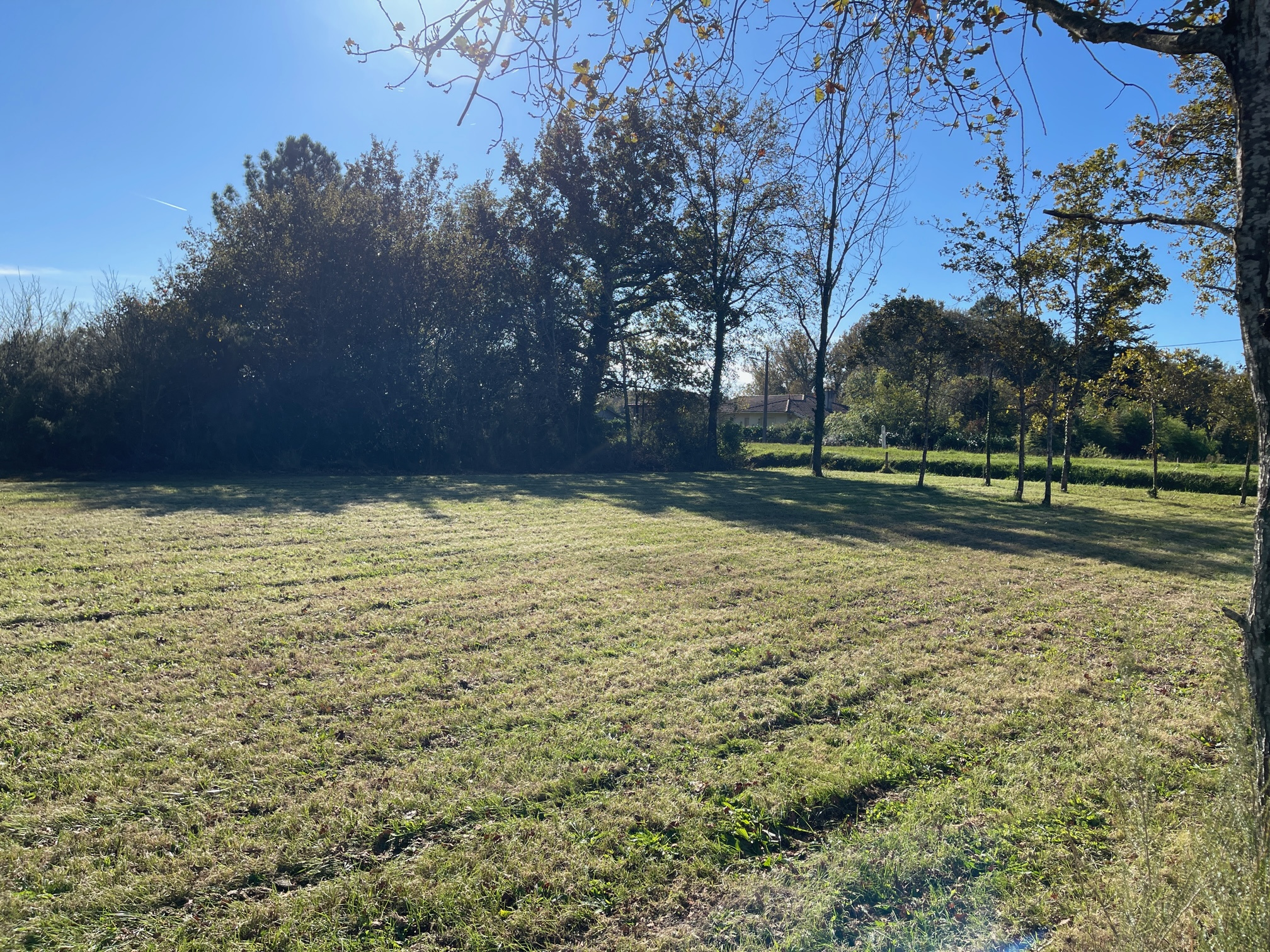 Terrain - Mios