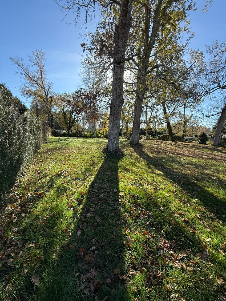 Terrain - Mios